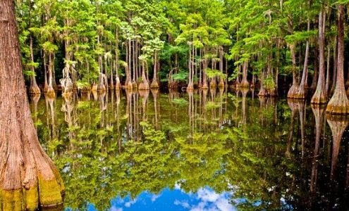 Tallahassee Museum business photo