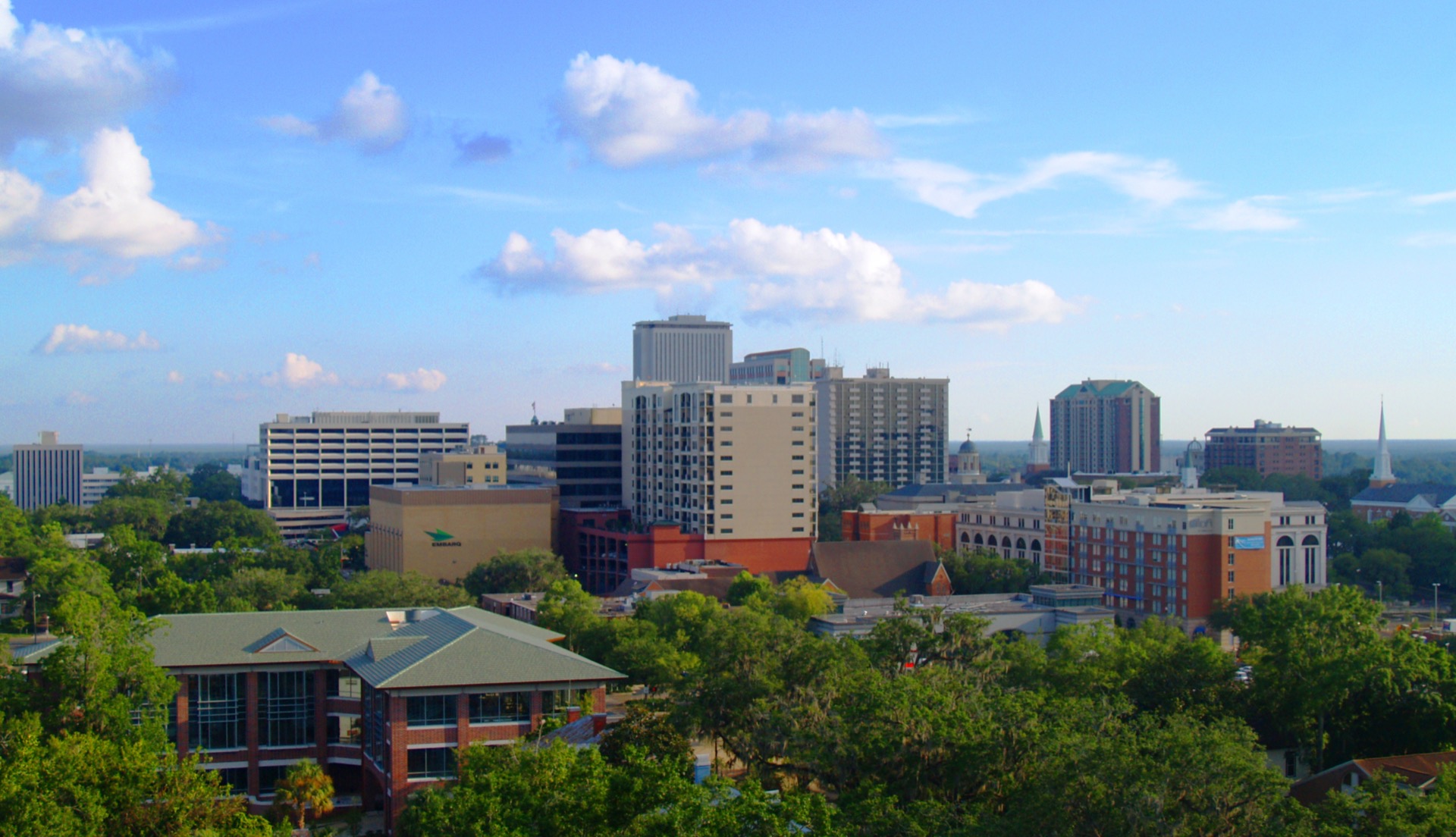 Illustrative cover for LOCAL Tallahassee