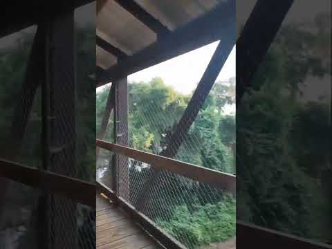 Things to Do in Tallahassee Florida| Trails in Florida video thumbnail